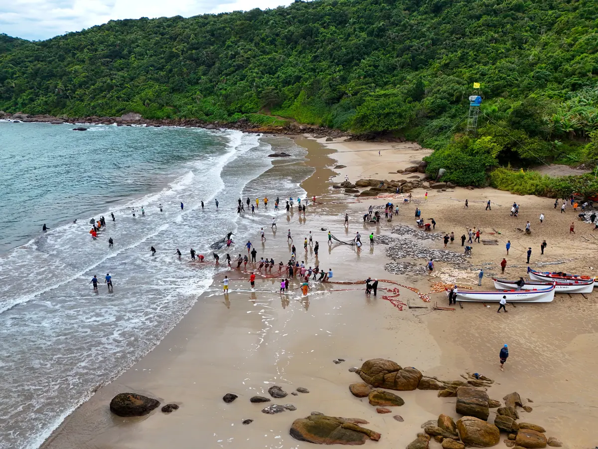 Pesca da Tainha